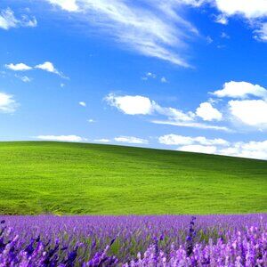 Meet your Posher, Hill